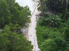  Land for sale in Baclayon, Bohol, Baclayon