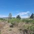  Land for sale in Calamuchita, Cordoba, Calamuchita