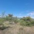  Land for sale in Calamuchita, Cordoba, Calamuchita