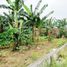 Terrain à vendre à Bekasi Timur, West Jawa, Bekasi Timur