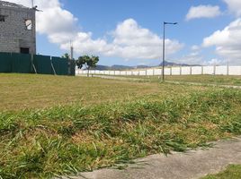  Terreno (Parcela) en venta en Calamba City, Calabarzon, Calamba City