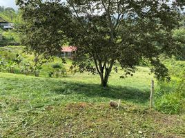  Land for sale in La Cumbre, Valle Del Cauca, La Cumbre