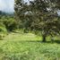  Land for sale in La Cumbre, Valle Del Cauca, La Cumbre