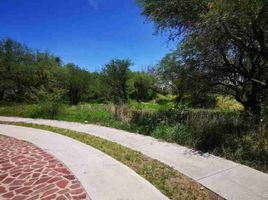 Land for sale in Huimilpan, Queretaro, Huimilpan