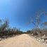  Terreno (Parcela) en venta en Progreso, Yucatán, Progreso