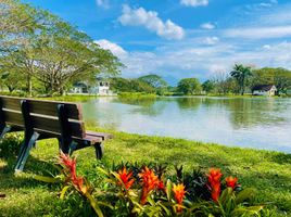  Land for sale at Hacienda Escudero, Tiaong, Quezon