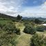  Land for sale in Jungapeo, Michoacan, Jungapeo