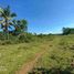  Land for sale in San Francisco, Cebu, San Francisco