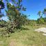  Land for sale in San Francisco, Cebu, San Francisco