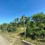  Land for sale in San Francisco, Cebu, San Francisco