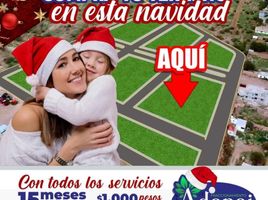  Grundstück zu verkaufen in Durango, Durango, Durango, Durango