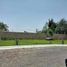  Land for sale in Silao, Guanajuato, Silao