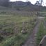  Villa zu verkaufen in Fusagasuga, Cundinamarca, Fusagasuga