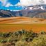  Terreno (Parcela) en venta en Maras, Urubamba, Maras