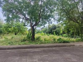  Land for sale in Crimson Beach side, Lapu-Lapu City, Lapu-Lapu City