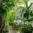 4 Schlafzimmer Haus zu verkaufen in Cozumel, Quintana Roo, Cozumel, Quintana Roo