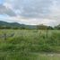  Land for sale in Compostela, Nayarit, Compostela