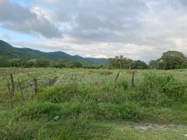  Land for sale in Compostela, Nayarit, Compostela