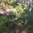  Land for sale in Mineral Del Chico, Hidalgo, Mineral Del Chico