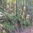  Land for sale in Mineral Del Chico, Hidalgo, Mineral Del Chico