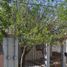 3 Habitación Casa en venta en Reynosa, Tamaulipas, Reynosa