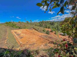  Terreno (Parcela) en venta en Guarne, Antioquia, Guarne