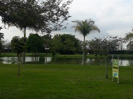  Terreno (Parcela) en venta en Jamundi, Valle Del Cauca, Jamundi