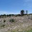  Land for sale in San Luis Potosi, San Luis Potosi, San Luis Potosi, San Luis Potosi