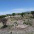  Land for sale in San Luis Potosi, San Luis Potosi, San Luis Potosi, San Luis Potosi