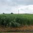  Terreno (Parcela) en venta en Calamba City, Calabarzon, Calamba City, Laguna, Calabarzon, Filipinas