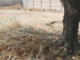  Grundstück zu verkaufen in Tequisquiapan, Queretaro, Tequisquiapan, Queretaro