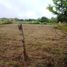  Land for sale in Tolima, Melgar, Tolima