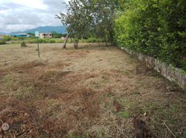  Terreno (Parcela) en venta en Tolima, Melgar, Tolima