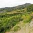  Terreno (Parcela) en venta en Tagaytay City, Calabarzon, Tagaytay City