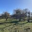  Land for sale in Araucania, Pucon, Cautin, Araucania