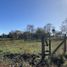  Land for sale in Araucania, Pucon, Cautin, Araucania