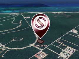  Grundstück zu verkaufen in Cozumel, Quintana Roo, Cozumel