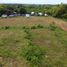  Land for sale in Cebu Central Visayas, Medellin