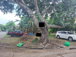 Grundstück zu verkaufen in Muntinlupa City, Metro Manila, Muntinlupa City