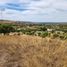  Terreno (Parcela) en venta en Chile, Litueche, Cardenal Caro, Libertador General Bernardo O'Higgins, Chile