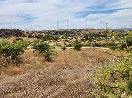  Terreno (Parcela) en venta en Chile, Litueche, Cardenal Caro, Libertador General Bernardo O'Higgins, Chile