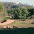  Land for sale in Cardenal Caro, Libertador General Bernardo Ohiggins, Navidad, Cardenal Caro