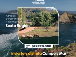  Land for sale in Cardenal Caro, Libertador General Bernardo Ohiggins, Navidad, Cardenal Caro