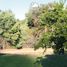  Land for sale in Cardenal Caro, Libertador General Bernardo Ohiggins, Navidad, Cardenal Caro
