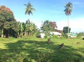  Land for sale in Lanao del Norte, Northern Mindanao, Kapatagan, Lanao del Norte