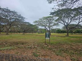  Land for sale at Lumira NUVALI, Calamba City