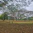  Land for sale at Lumira NUVALI, Calamba City