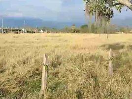  Terreno (Parcela) en venta en Fusagasuga, Cundinamarca, Fusagasuga