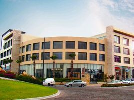 83 m² Office for rent in Santa Isabel Cholula, Puebla, Santa Isabel Cholula
