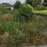  Terreno (Parcela) en venta en Atlixco, Puebla, Atlixco